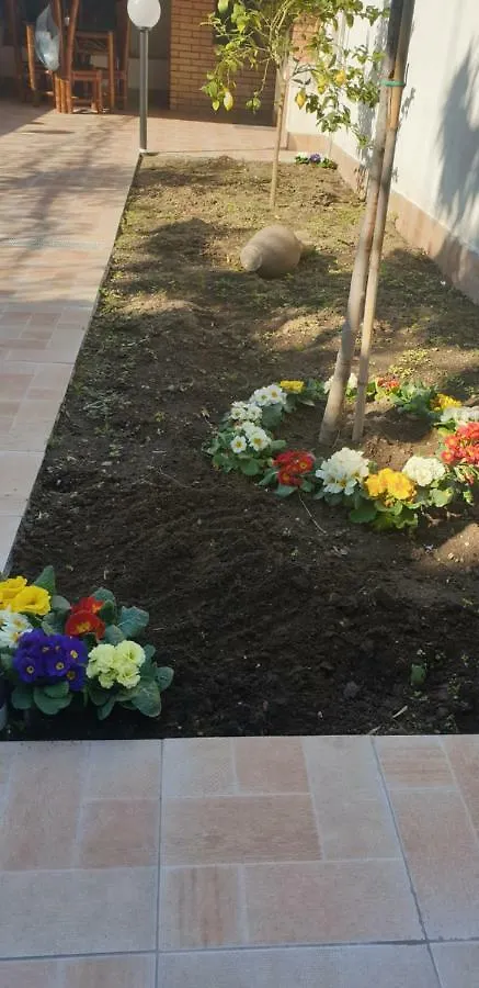 Casa vacanze Casa Gialli Aeroporto di Catania Fontana Rossa